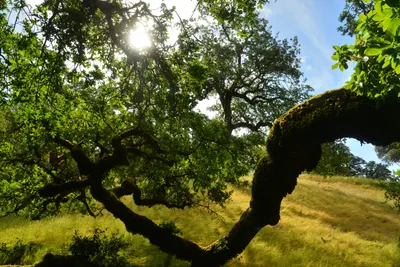 DSC_6808 (Large).JPG